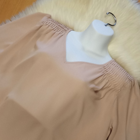 Laurie Felt Los Angeles Chiffon Blouse - Picture 11 of 12